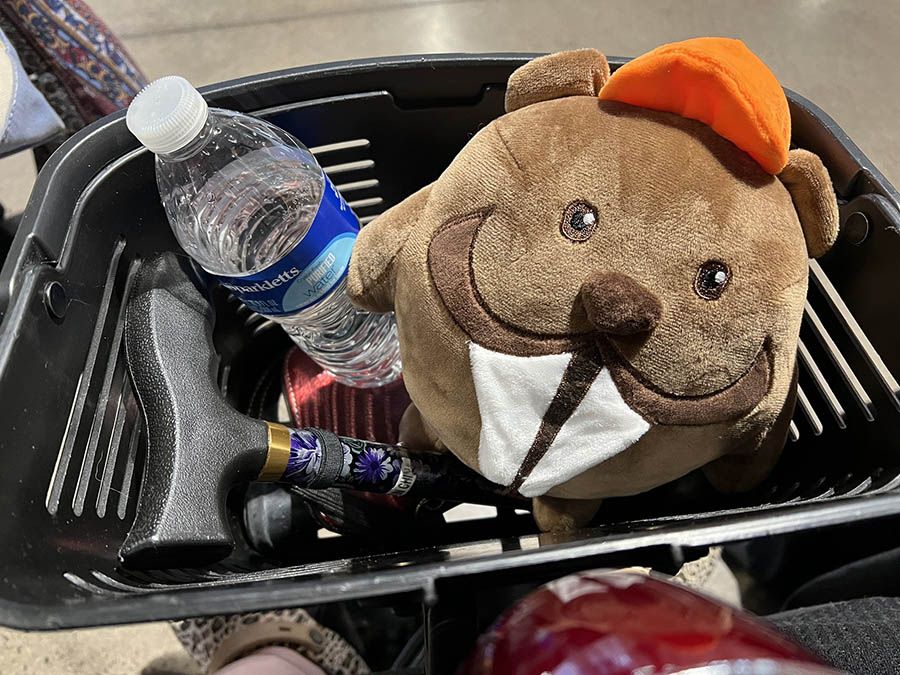 Stuffed beaver in basket