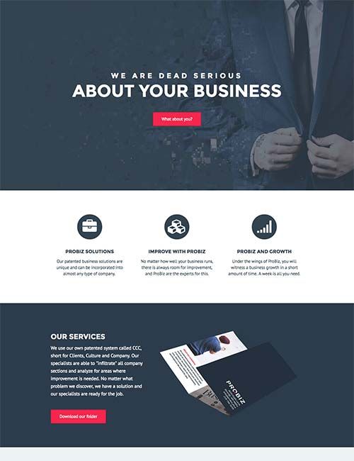 probiz-template probiz-template