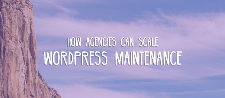 scale-wordpress-agency scale-wordpress-agency