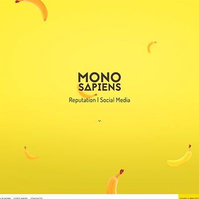 screencapture-monosapiens-pro-1448231090143 screencapture-monosapiens-pro-1448231090143