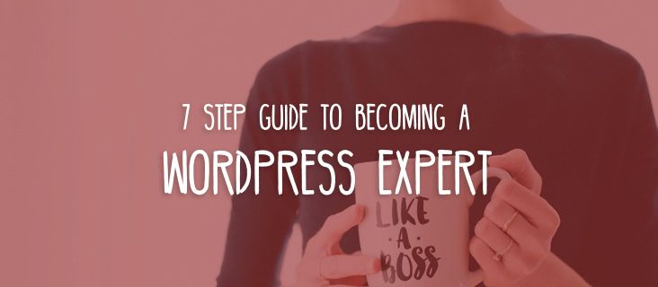 wordpress-expert-guide wordpress-expert-guide