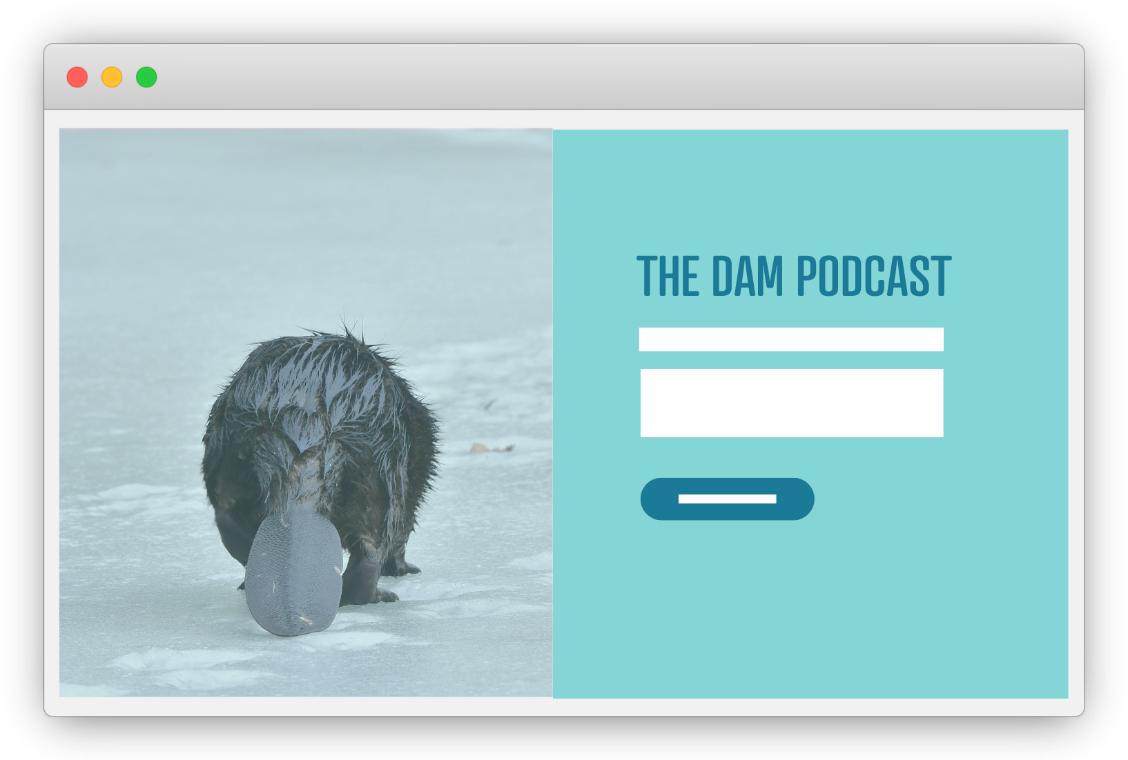 Beaver-Builder-Website-Templates-browser-1 Beaver-Builder-Website-Templates-browser-1