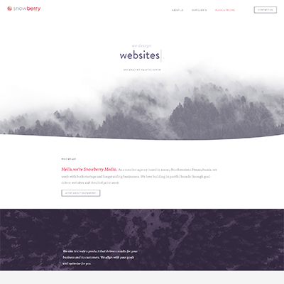 snowberry-media-400 snowberry-media-400
